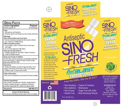 Principal Display Panel (Sinofresh Throat Spray Box)